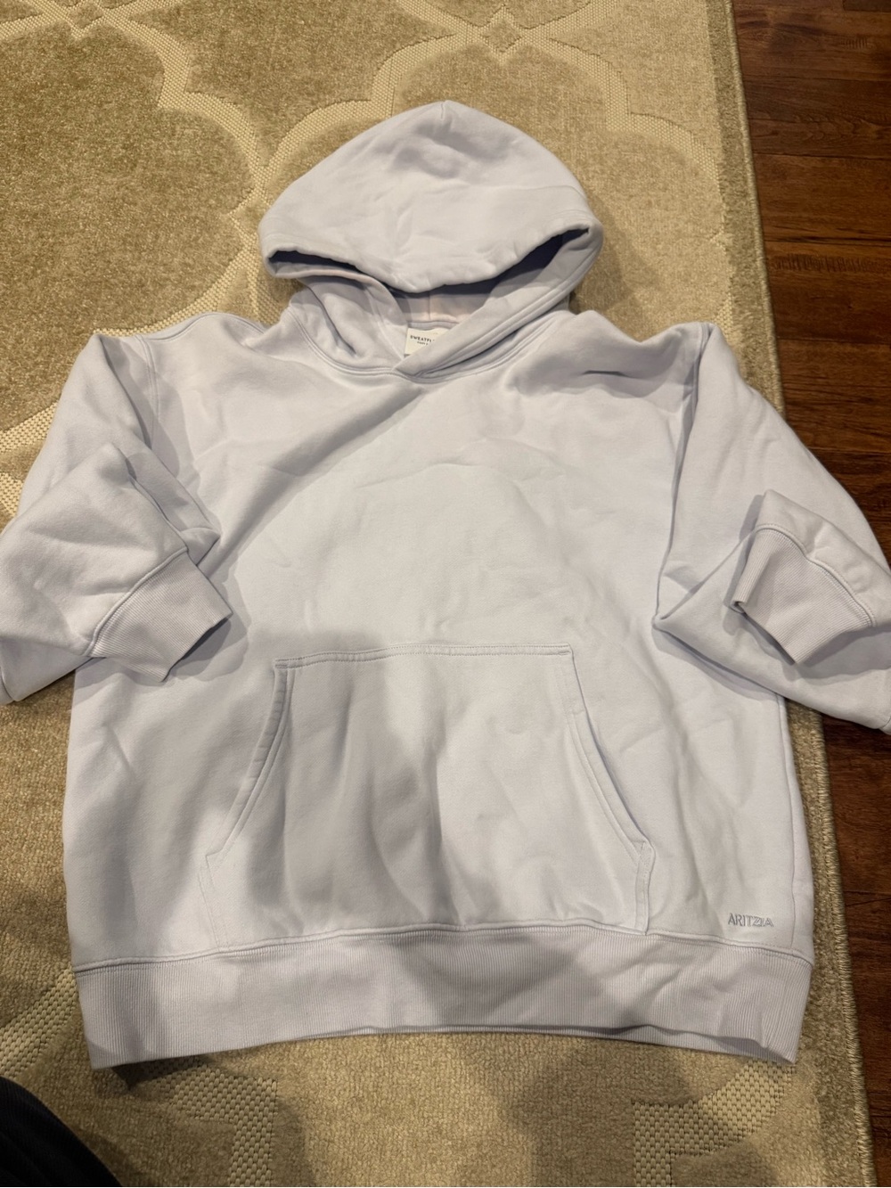 Aritzia Light blue Hoodie perfect fit large